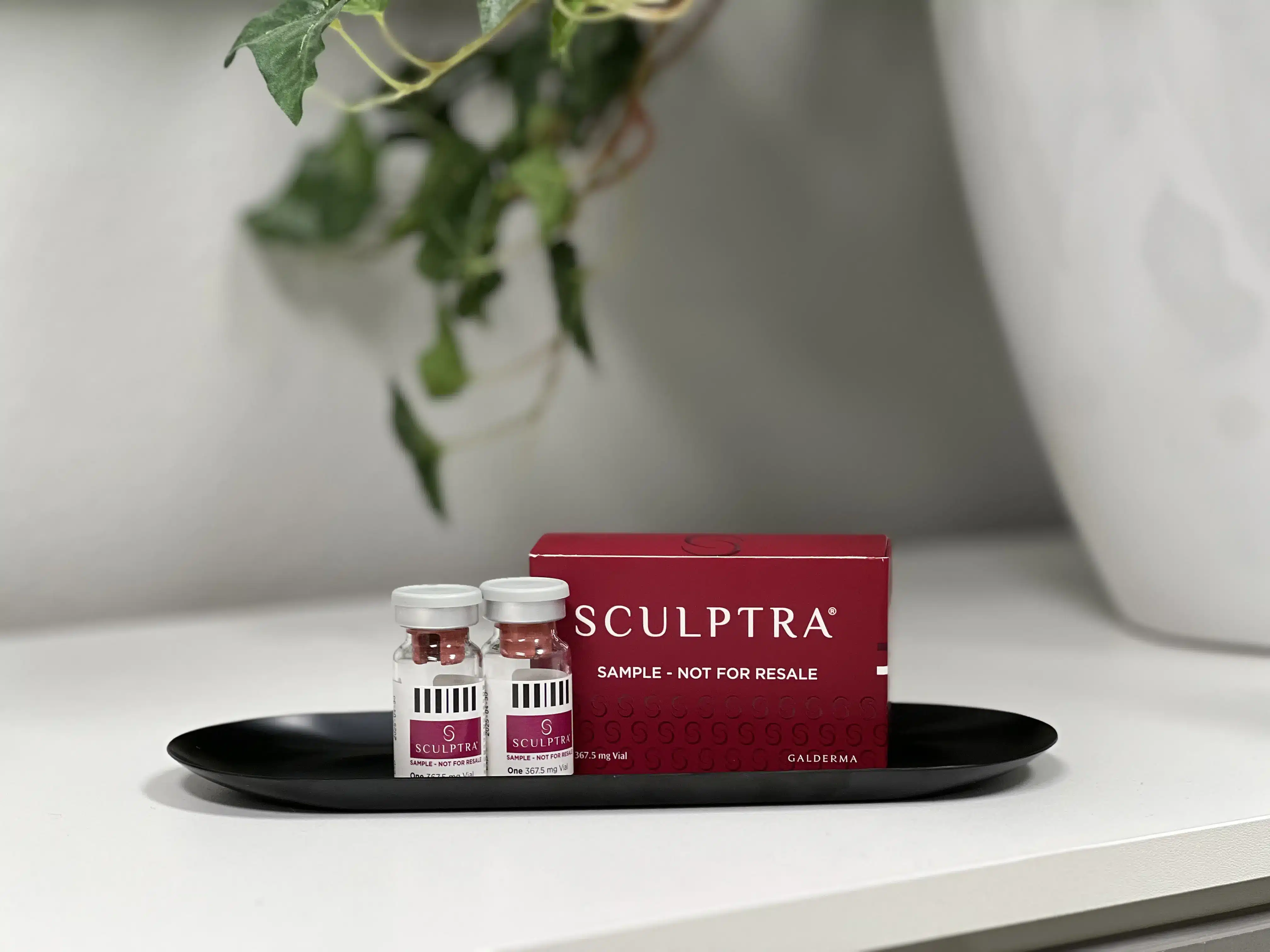 Sculptura
